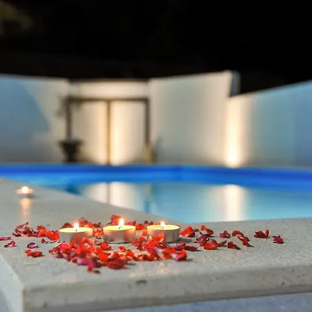 Lily פריבלאקה