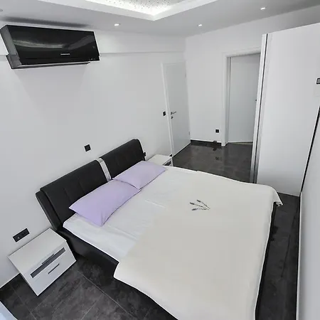 Lily פריבלאקה