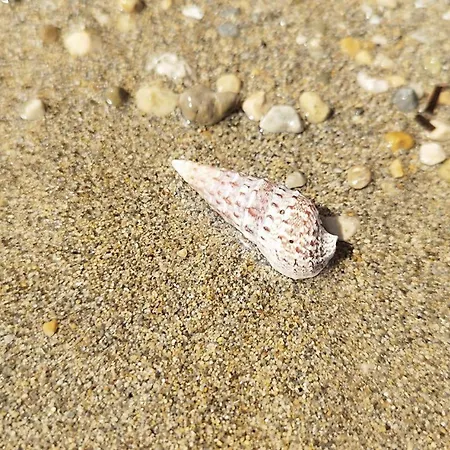 Willa Lily Privlaka (Zadar)